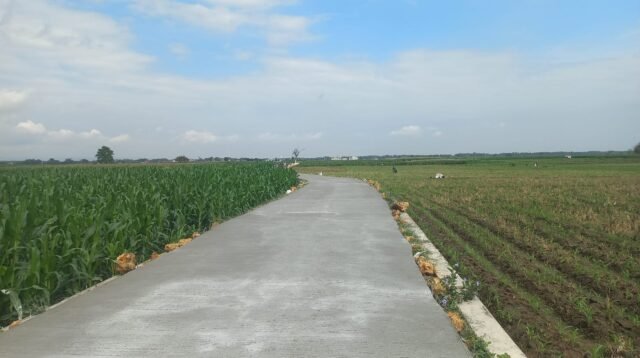 Jalan Beton Desa Godo Rampung 100 Persen, Petani Kini Lebih Mudah Angkut Hasil Panen