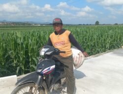 WhatsApp Image 2026-05-19 at 11.51.18 Mbah Sukardi Rasakan Manfaat Jalan Baru TMMD untuk Aktivitas Bertani