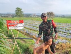 Di Tengah Sawah Desa Godo, Sertu Arifin Hadirkan Sumber Air untuk Petani
