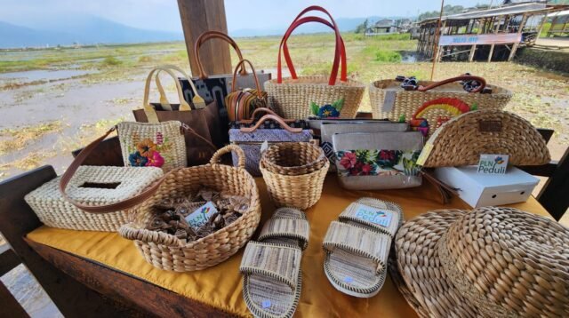 PLN Peduli : Menganyam Harapan dari Tepian Rawa Pening, Saat Eceng Gondok Menjadi Penghidupan
