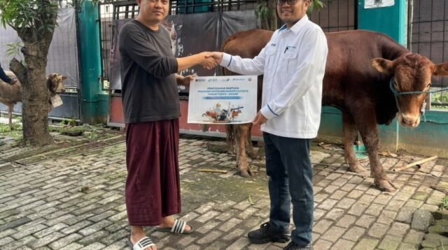 Dukung Pelindo Berbagi Qurban 2026, CTP Tollways Pastikan Distribusi Hewan Qurban Berjalan Lancar