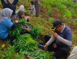 Lahan Buang Sampah Sembarangan, Disulap Jadi Lahan Pertanian