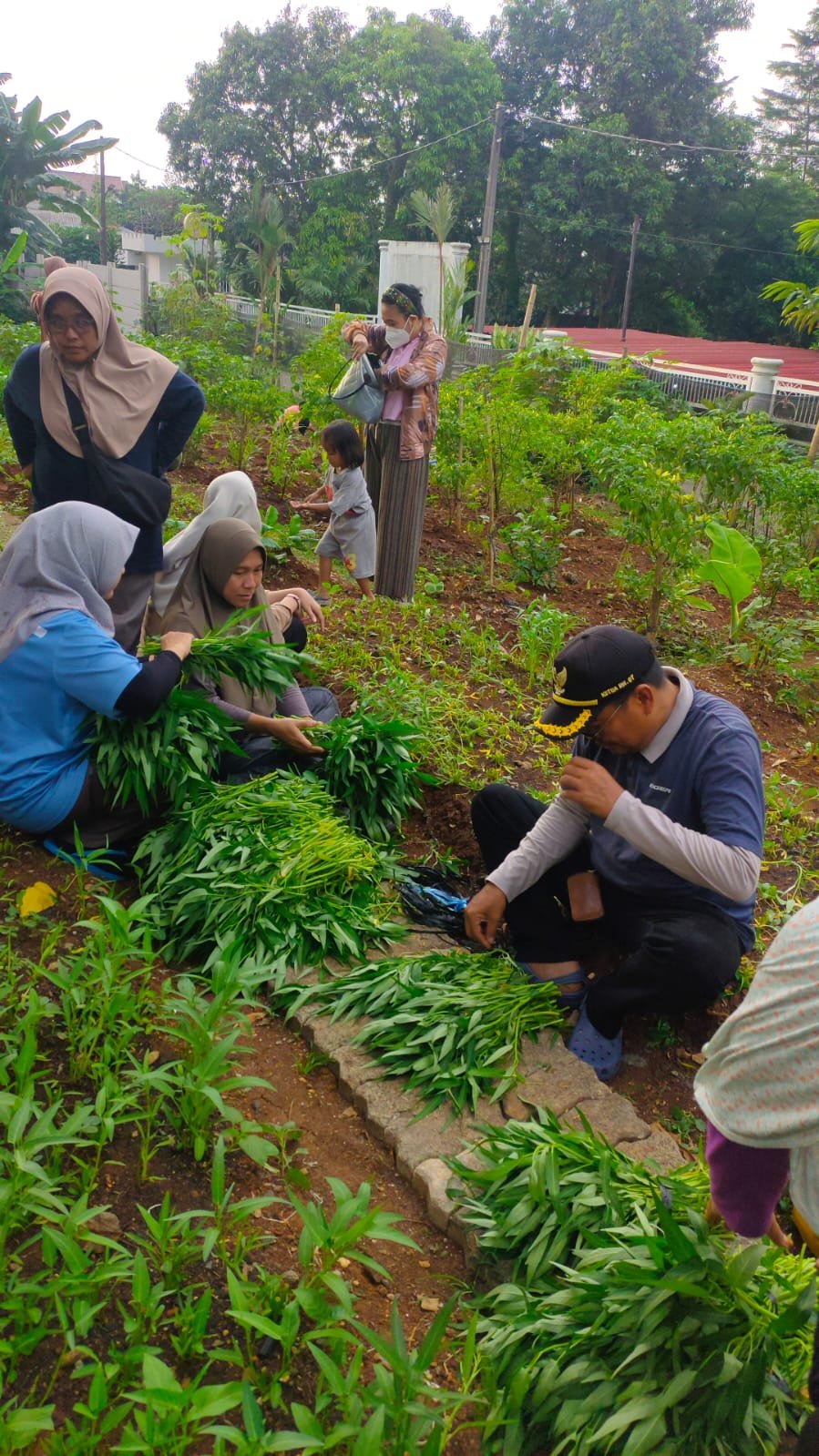 Lahan Buang Sampah Sembarangan, Disulap Jadi Lahan Pertanian