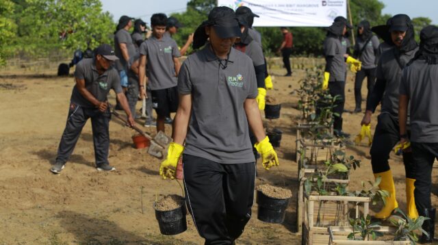 Melalui Gerakan Masyarakat Peduli Mangrove Badung, PLN Perkuat Upaya Pelestarian Lingkungan