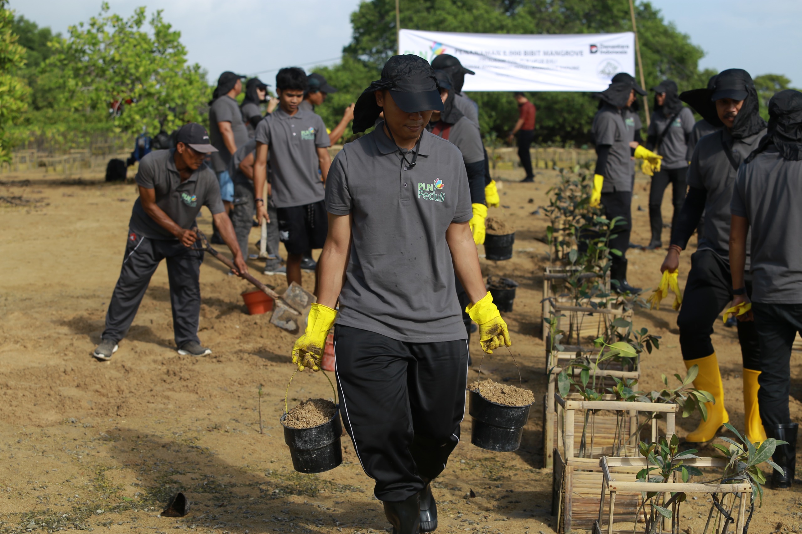 Melalui Gerakan Masyarakat Peduli Mangrove Badung, PLN Perkuat Upaya Pelestarian Lingkungan