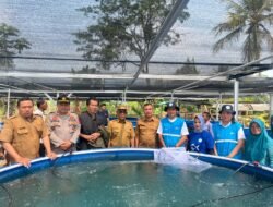 PLN Peduli Budidaya Ikan Nila Bioflok untuk Dorong Kemandirian Ekonomi Desa Situ Udik