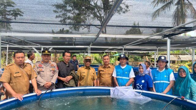 PLN Peduli Budidaya Ikan Nila Bioflok untuk Dorong Kemandirian Ekonomi Desa Situ Udik