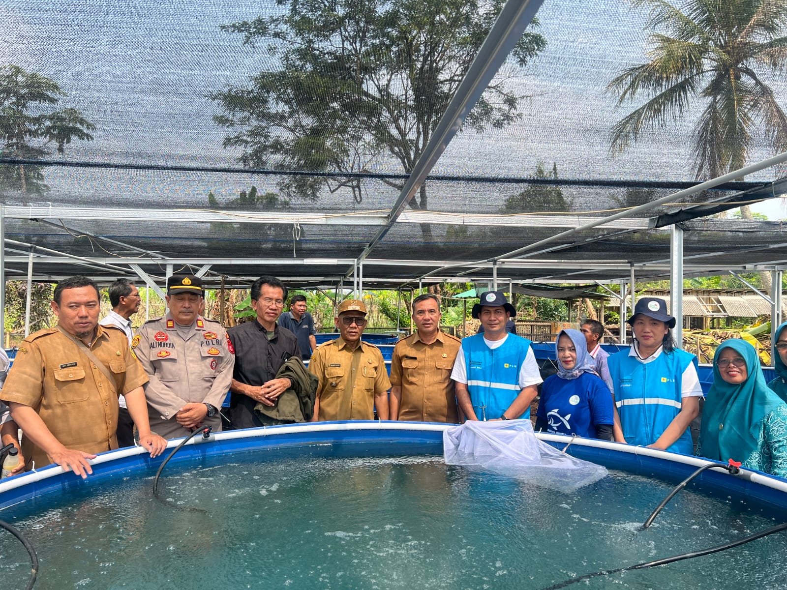 PLN Peduli Budidaya Ikan Nila Bioflok untuk Dorong Kemandirian Ekonomi Desa Situ Udik