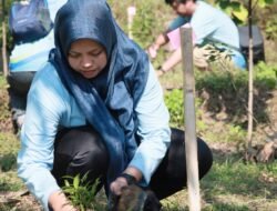 PLN UP2B Jateng & DIY Gelar Jalan Sehat dan Aksi Tanam Pohon di Kali Pangus, Wujud Nyata Kepedulian terhadap Lingkungan