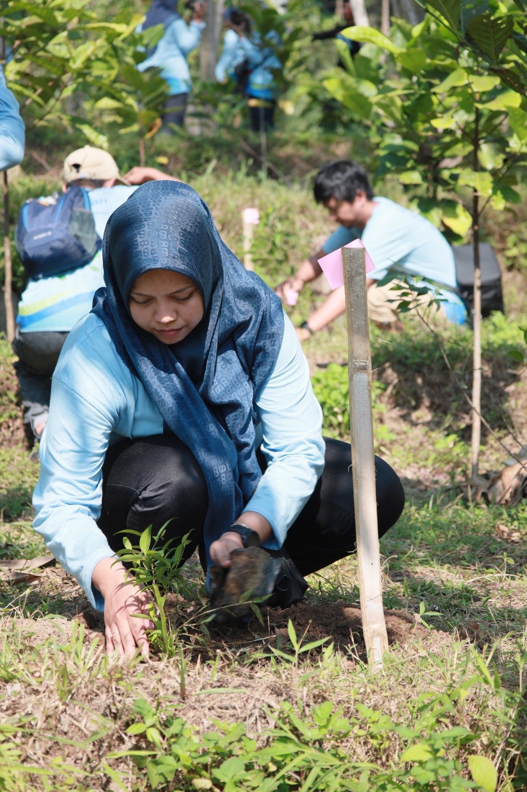 PLN UP2B Jateng & DIY Gelar Jalan Sehat dan Aksi Tanam Pohon di Kali Pangus, Wujud Nyata Kepedulian terhadap Lingkungan