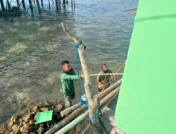IMG-20260803-WA0023