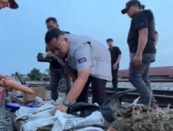 WhatsApp Image 2026-08-10 at 07.59.03 Polrestabes Medan Grebek Basis Narkoba di Bantaran Rel Tembung, 3 Kg Ganja dan Senjata Diamankan