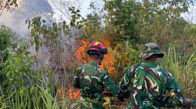 Hadapi Api dengan Sigap, Personel Brigif TP 32/Mangkalihat Cepat Tangani Karhutla